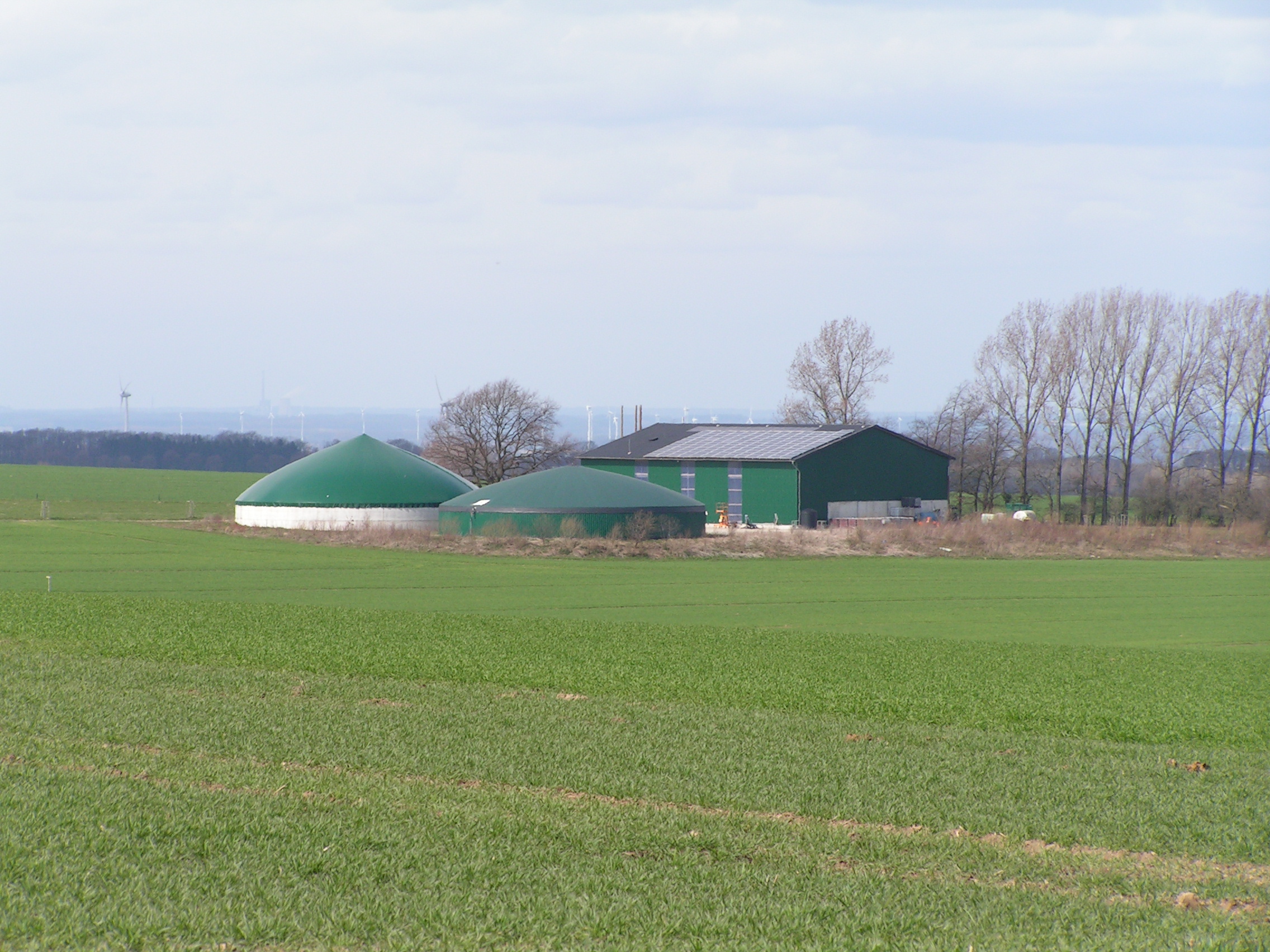 Schulungsverbund Biogas gratuliert 10.000stem Teilnehmer