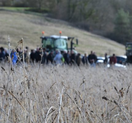 Der Landwirt als Faserlieferant für die Textilindustrie