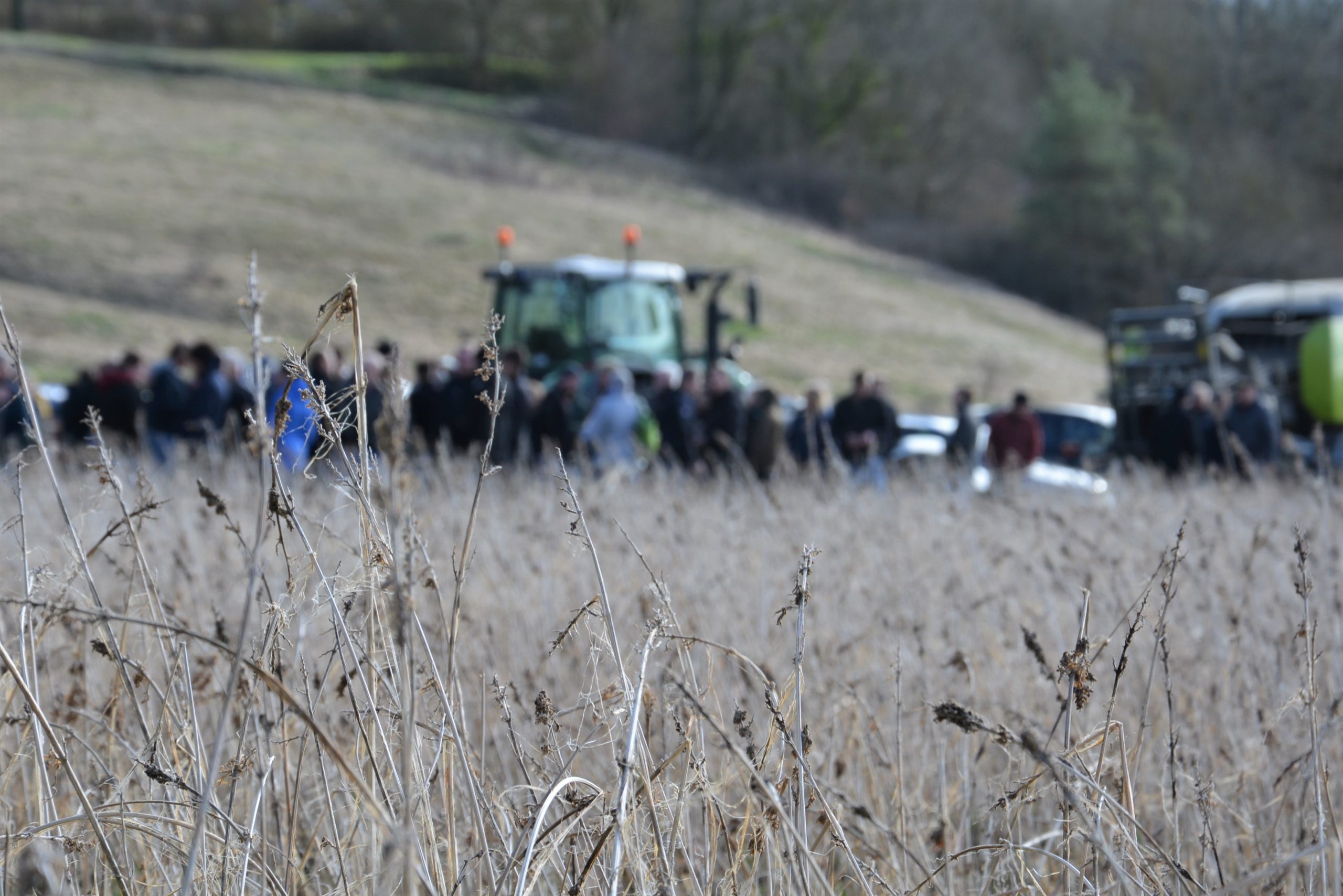 Der Landwirt als Faserlieferant für die Textilindustrie