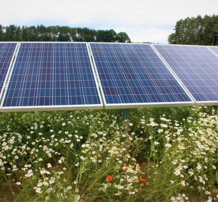 Erhöhung der Höchstgrenze für Photovoltaik-Freiflächenanlagen in Bayern