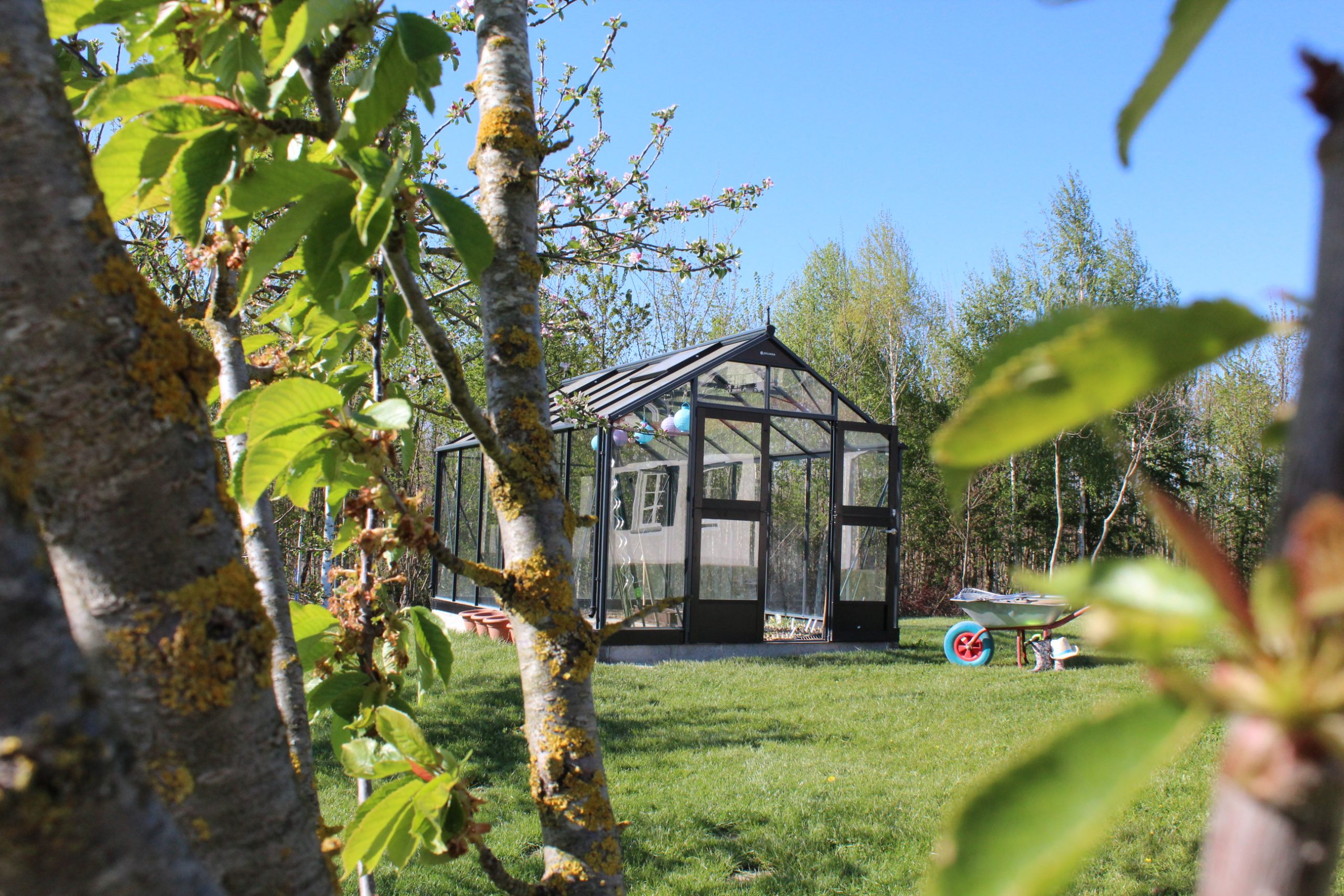 Raus in den Garten – Nachhaltig gärtnern im grünen Wohnzimmer