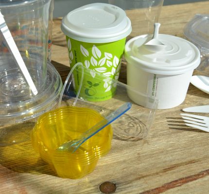 Lebensmittel „to go“ nachhaltig verpackt: C.A.R.M.E.N.-WebSeminar informiert über Alternativen zu Einwegplastik