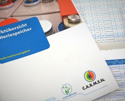 C.A.R.M.E.N.-WebSeminar: Marktübersicht Batteriespeicher 2021 – Auswertung