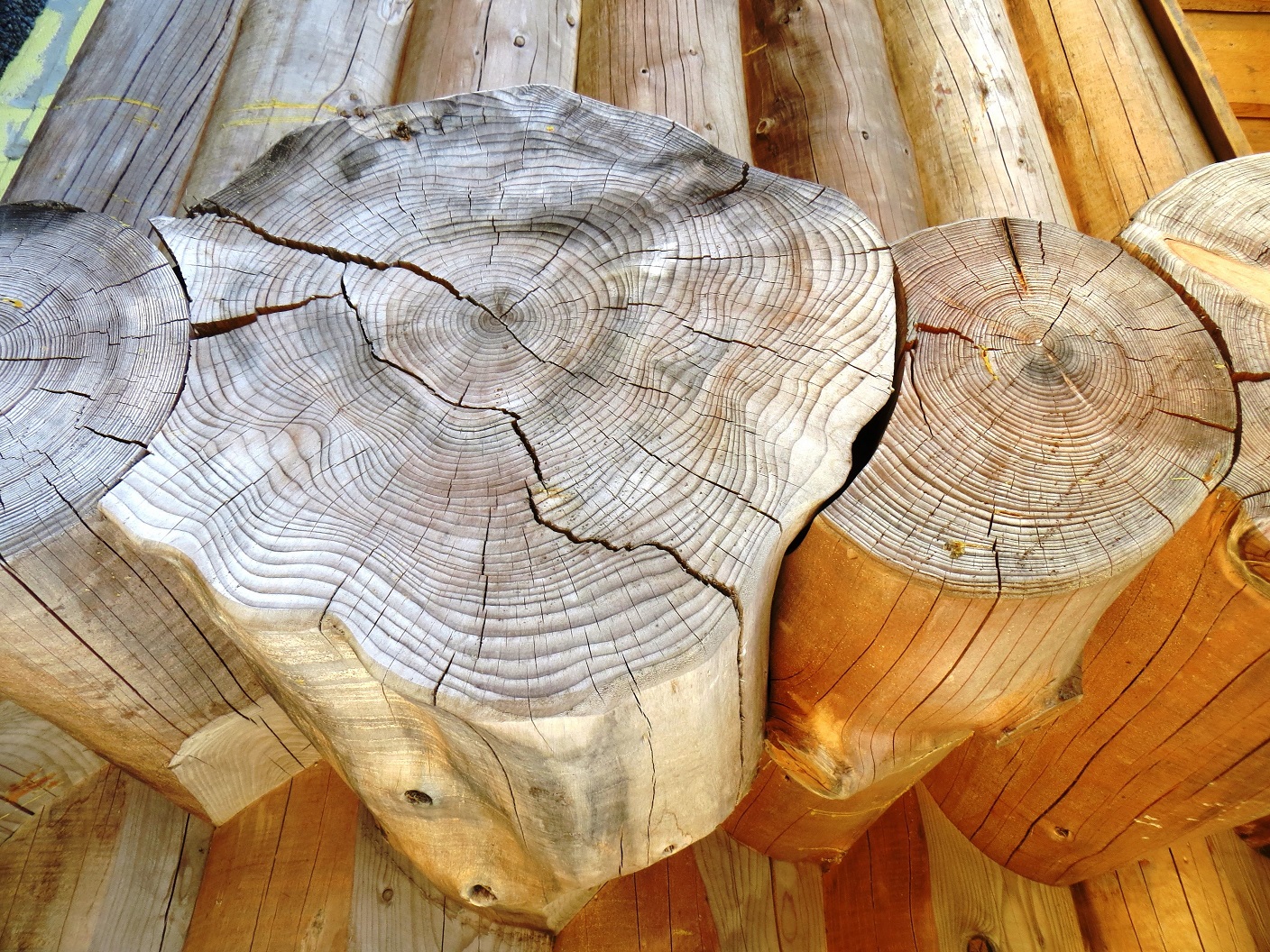 Wohin mit dem Kohlenstoff? Webkonferenzen beleuchten Wald, Holz und Moore als Werkzeuge gegen die Klimakrise