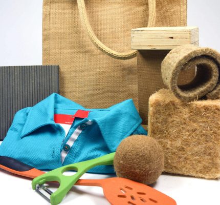 Miscanthus, Hanf & Co. – Webkonferenzen zeigen Anwendungsmöglichkeiten Nachwachsender Rohstoffe