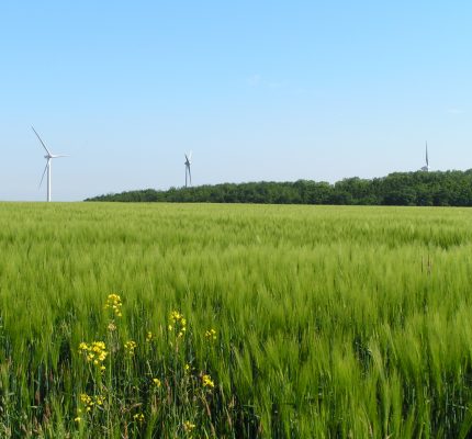 Rekordhoch für Erneuerbare Energien in 2020