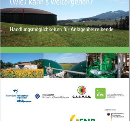 Biogasanlagenbetreibende aufgepasst – Leitfaden „Biogas nach dem EEG – (wie) kann’s weitergehen?“ komplett aktualisiert