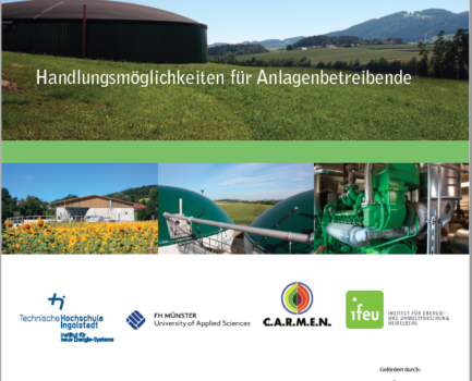 Biogasanlagenbetreibende aufgepasst – Leitfaden „Biogas nach dem EEG – (wie) kann’s weitergehen?“ komplett aktualisiert