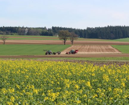 Erneuerbare Energien in der Landwirtschaft – der LandSchafftEnergie-Themenmonat im November 2025