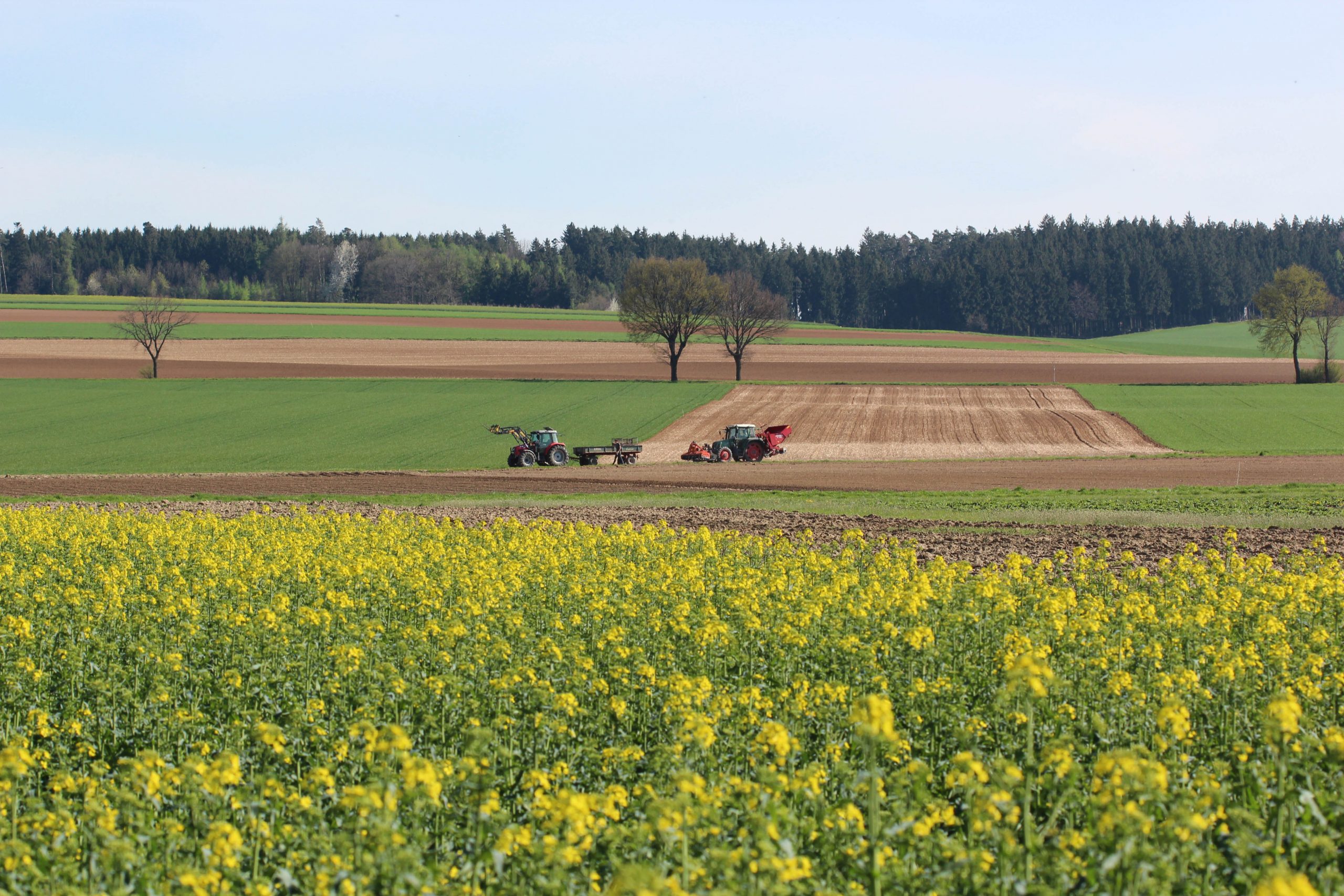 Förderung von energieeffizienter Landwirtschaft