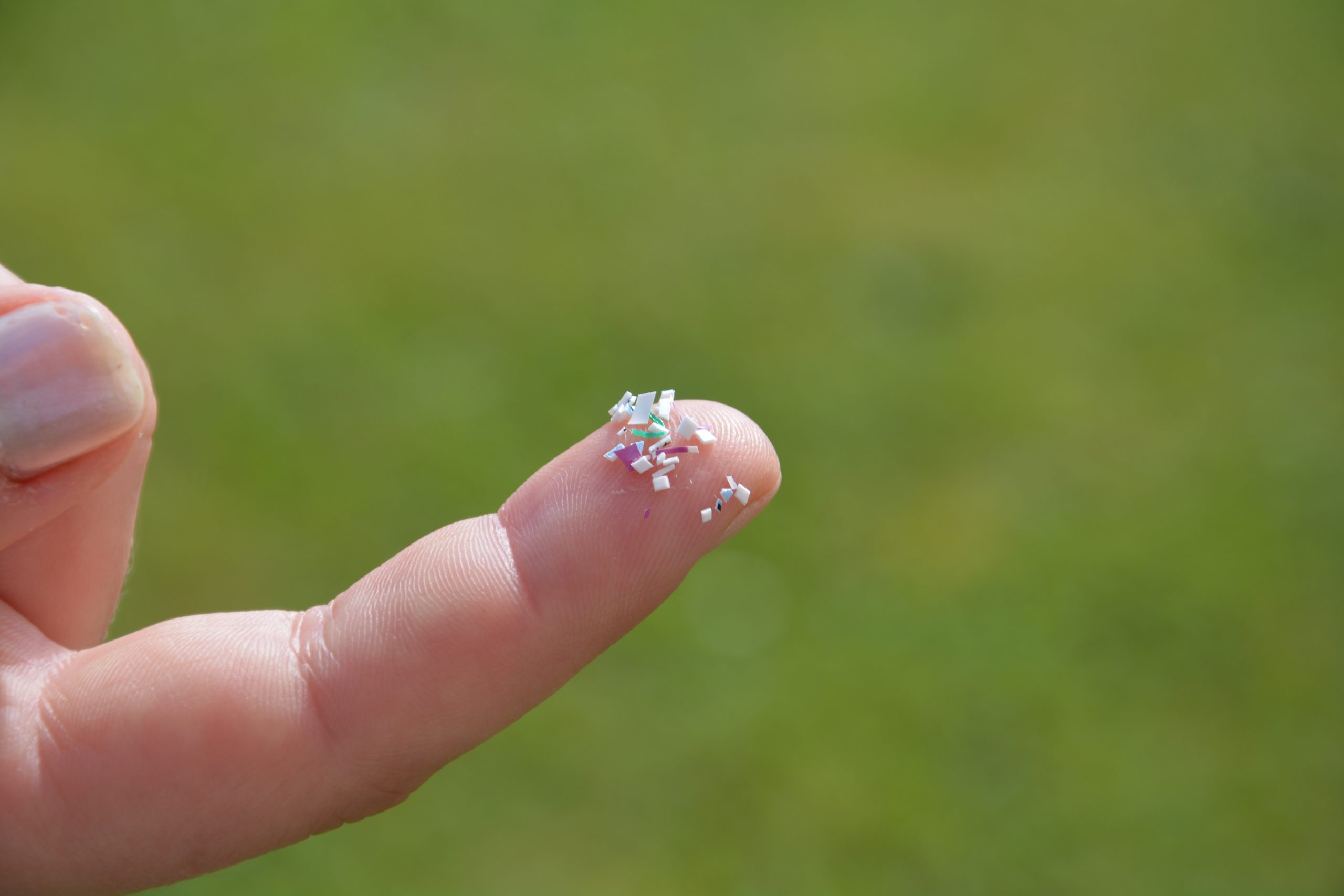 Mikroplastik – Erkennen, vermeiden, nachhaltig ersetzen