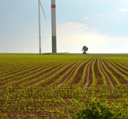 Infraschall durch Windenergieanlagen – Eine Gesundheitsgefahr?