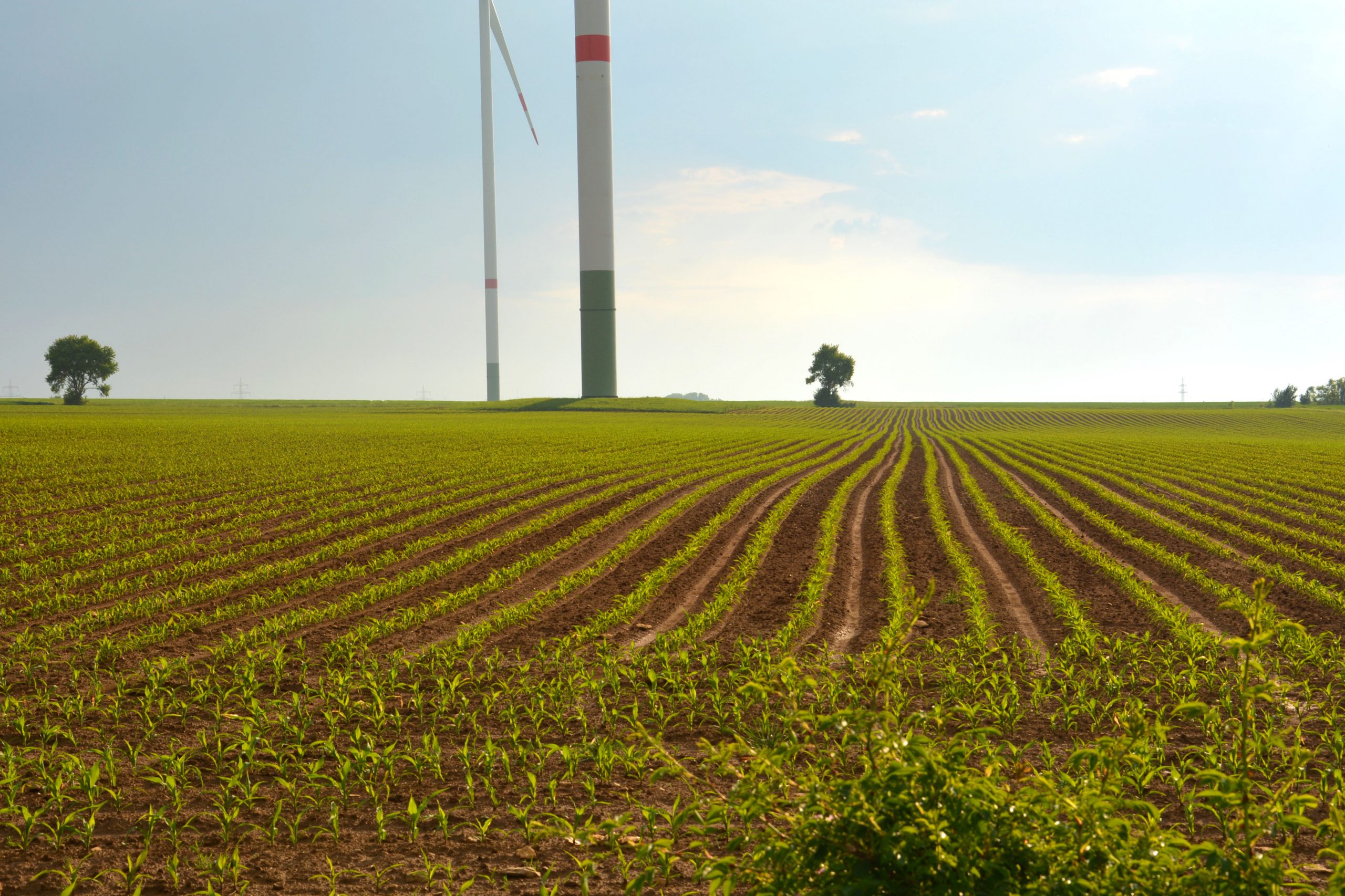 Infraschall durch Windenergieanlagen – Eine Gesundheitsgefahr?