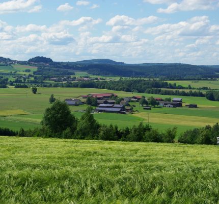 Wettbewerb Modellbetriebe Bioökonomie