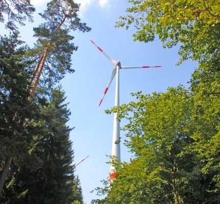 Pauschales Verbot von Windkraft im Wald ist unrechtmäßig