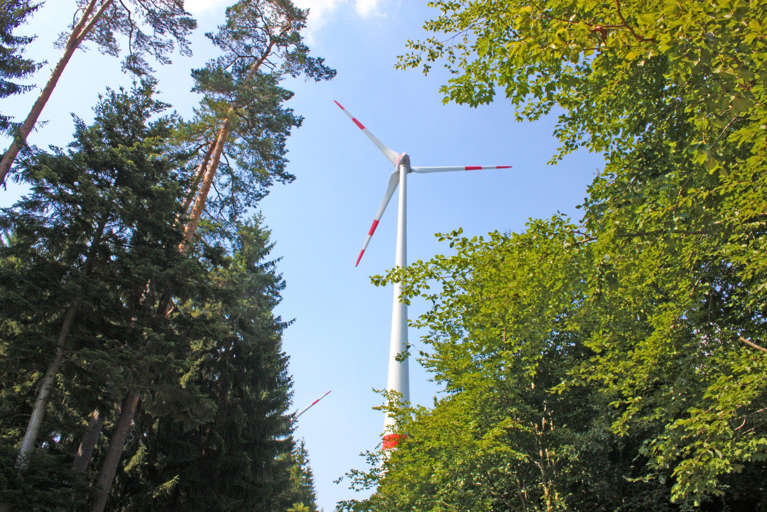 Pauschales Verbot von Windkraft im Wald ist unrechtmäßig