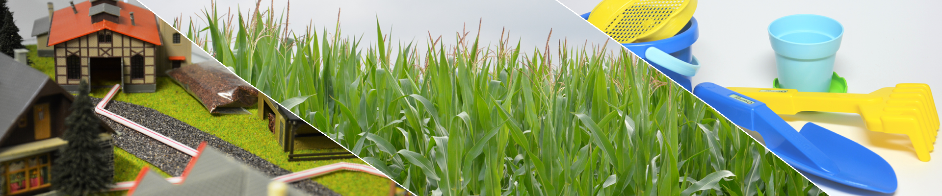 C.A.R.M.E.N.-WebSeminar „Die Landwirtschaft als Energie- und Rohstoffversorger – Bioraffinerie und biobasierte Produkte”
