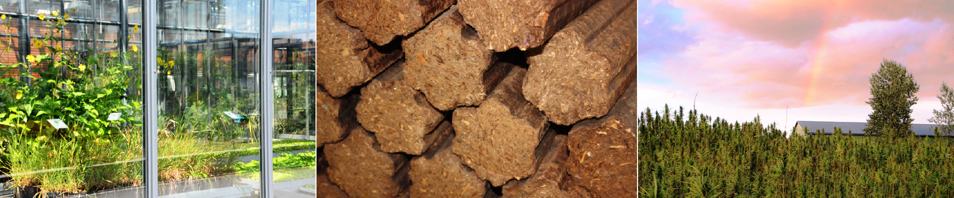 Biomasse-Nachhaltigkeitszertifizierung leicht gemacht