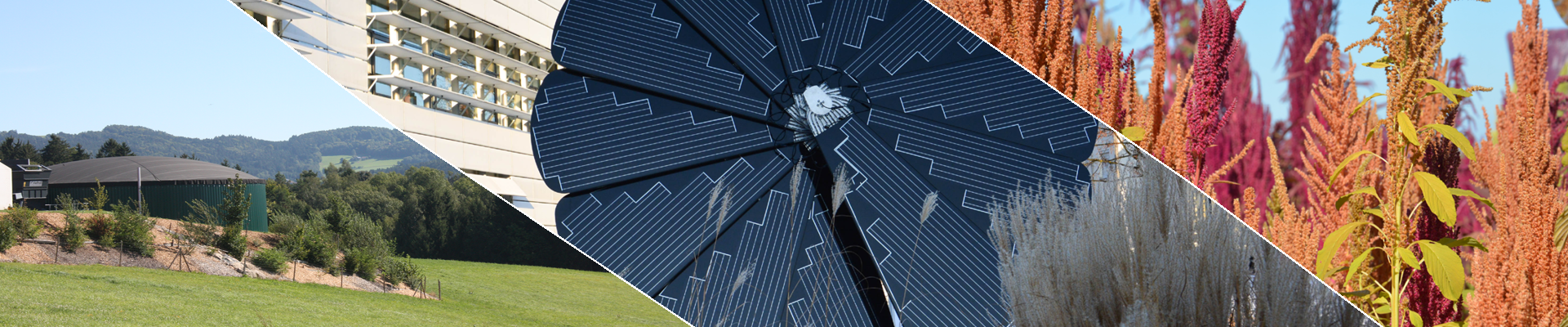 Webinar: Bestehende Photovoltaikanlagen bewahren – Was kann man tun nach Ablauf der Einspeisevergütung?
