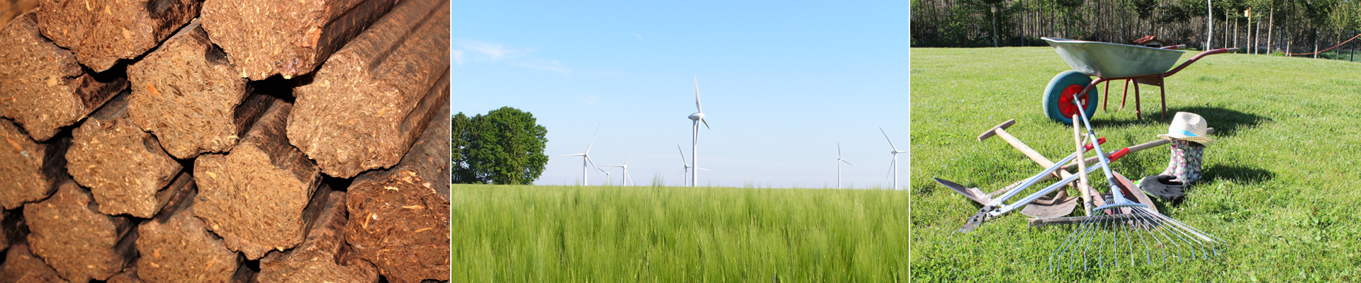 Kategorie: Erneuerbare Energien