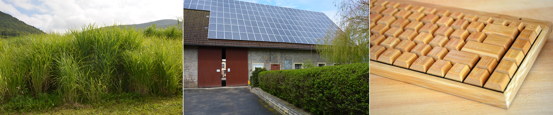 C.A.R.M.E.N.-WebSeminar „Wärmepumpe trifft Photovoltaik – Heizen mit Erneuerbaren Energien”