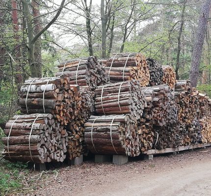 Scheitholz – Faustzahlen und Umrechnungsfaktoren