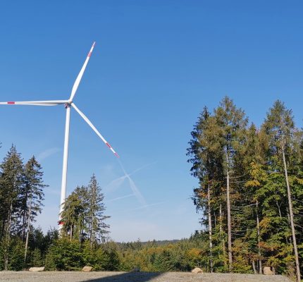 C.A.R.M.E.N.-WebKonferenz „Windkraft im Wald” (01.03.2023)
