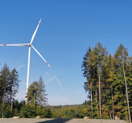 Wind im Wald: Thema beim 30. C.A.R.M.E.N.-Symposium