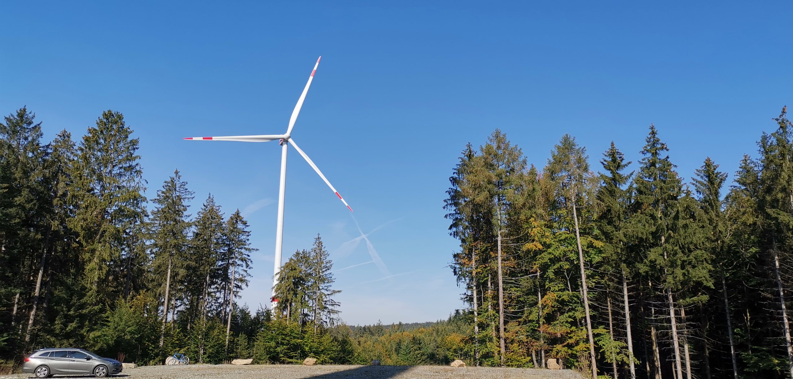 Wind im Wald: Thema beim 30. C.A.R.M.E.N.-Symposium