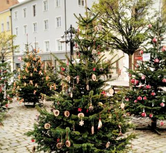 2020_Weihnachtsbaumaktion (5)