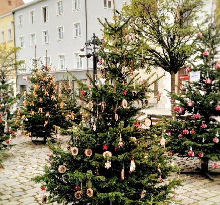 C.A.R.M.E.N. e.V. läutet die Weihnachtssaison ein