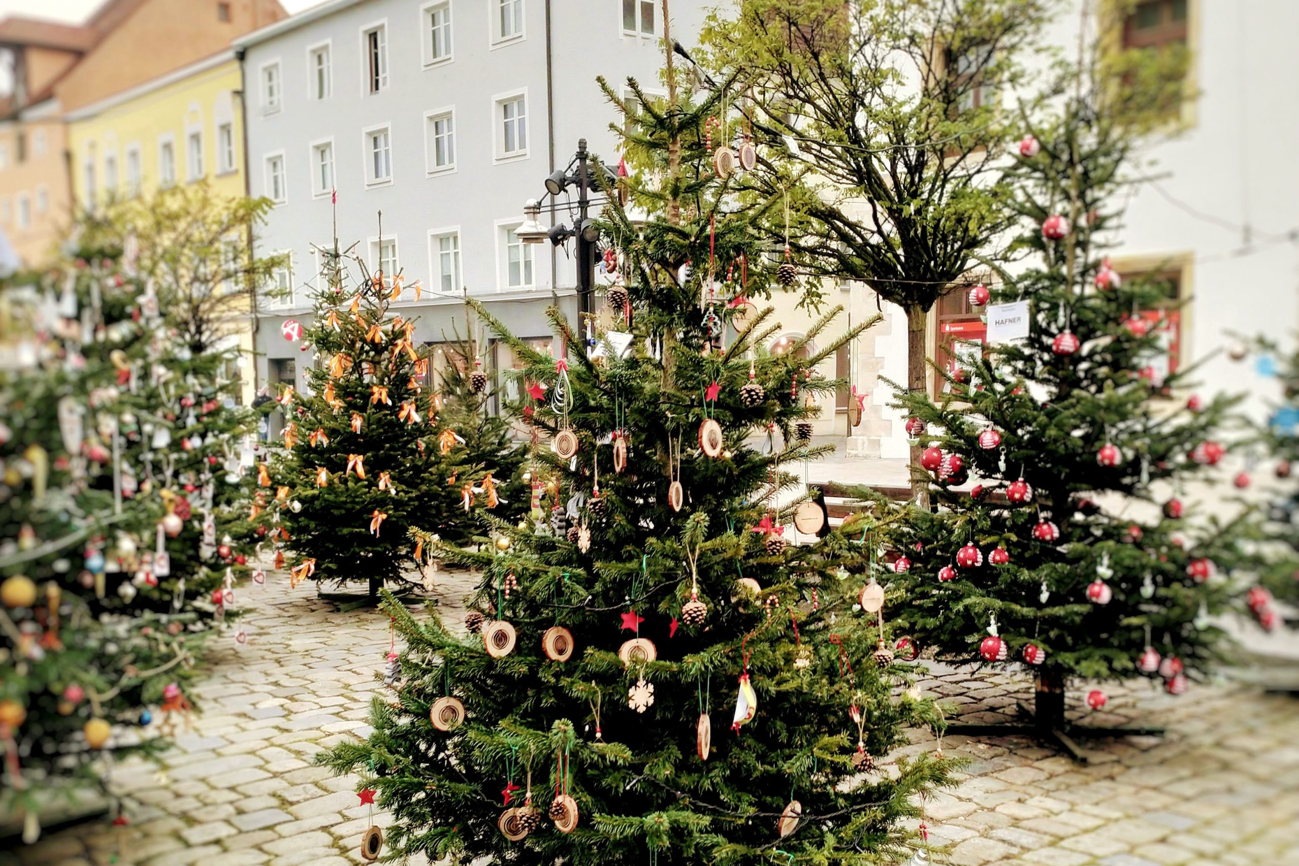 C.A.R.M.E.N. e.V. läutet die Weihnachtssaison ein