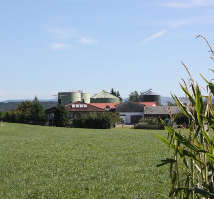 BMEL-Förderung bietet Bestands-Biogasanlagen bis zu 40-prozentigen Zuschuss