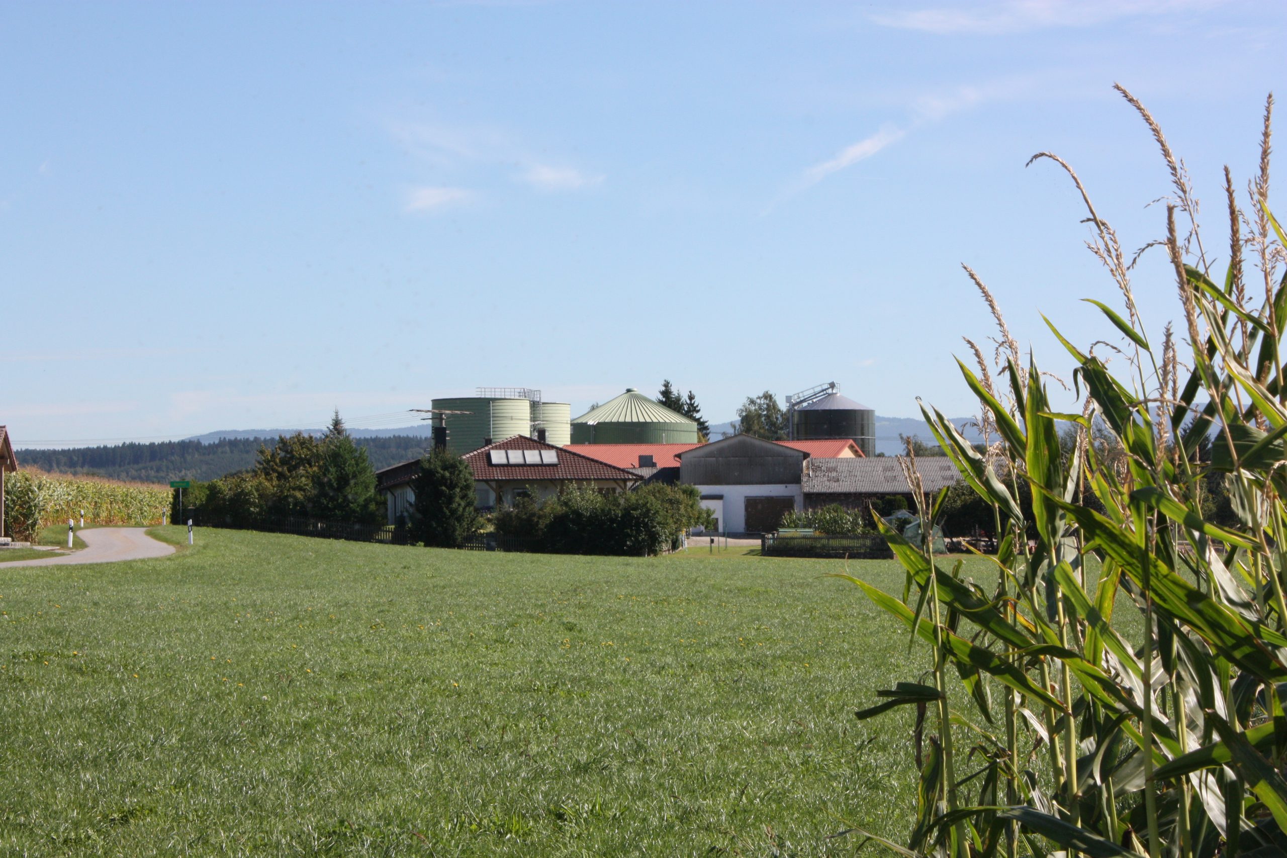 BMEL-Förderung bietet Bestands-Biogasanlagen bis zu 40-prozentigen Zuschuss