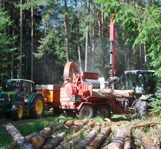 Energieholzmarktbericht