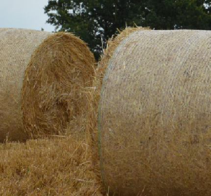 LaRA: Landwirtschaftliche Rest- und Abfallstoffverwertung