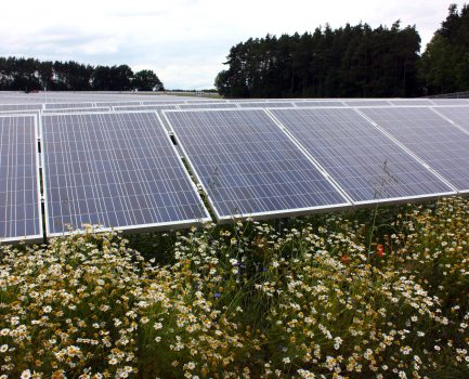 WebKonferenz informiert über Planung und Realisierung von Photovoltaik-Parks