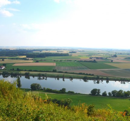 ecoSUP – Das ökologische Stand-up-Paddle-Board