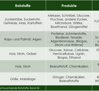 Überblick_Bioraffineriekonzepte