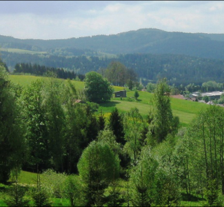 Wald-1