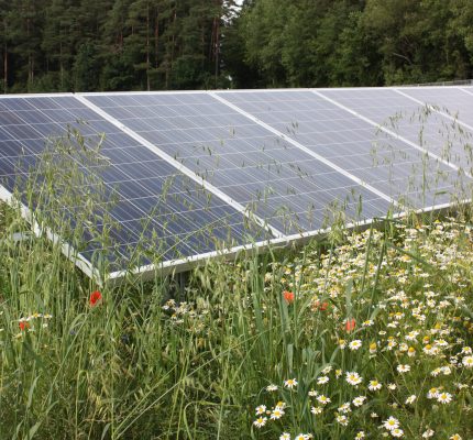 Ausschreibungsergebnisse für Solar Freifläche Anlagen