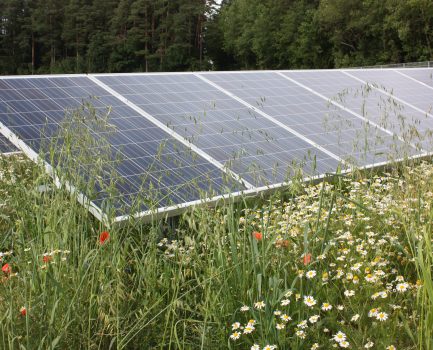 Positionspapier zu Freiflächen- und Agri-PV