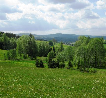 Neue Nachweisanforderungen bezüglich Nachhaltigkeit und Treibhausgasminderung