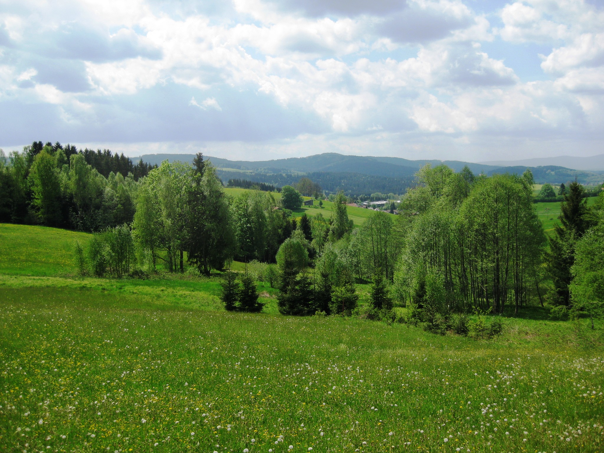 Themenblöcke „Wald- und Holznutzung“ und „Pflanzenkohle“ als Auftakt des 29. C.A.R.M.E.N.-Symposiums