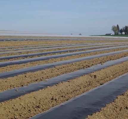 Biologisch abbaubare Mulchfolien