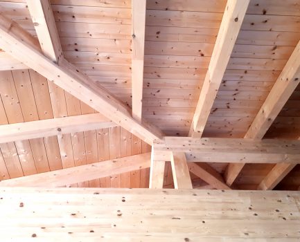 Mit Holz bauen – Frankens Zukunft aktiv gestalten