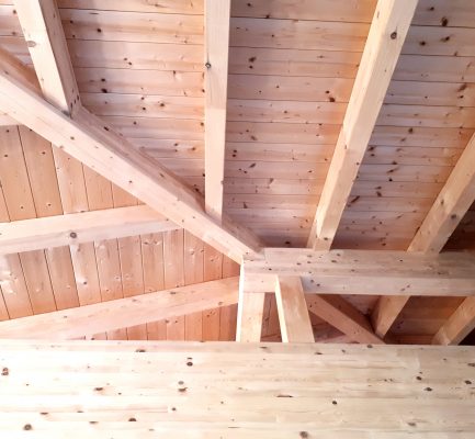 Mit Holz bauen – Frankens Zukunft aktiv gestalten