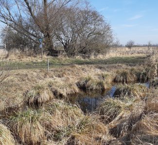 Moor_Drainage_Graben