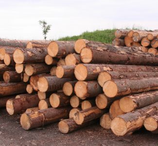 2_Gipfel_Holz