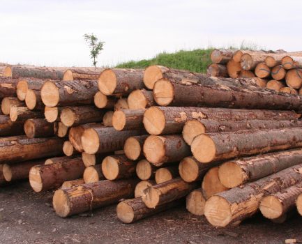 Wegweisende Impulse für nachhaltiges Bauen: Neue C.A.R.M.E.N.-WebSeminare